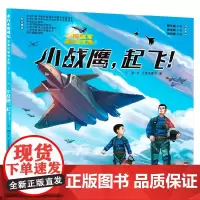 十万个为什么 军事科普绘本馆 第一辑 小战鹰 起飞 6-10岁 八路 著 科普百科