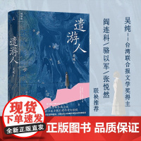 遣游人 吴纯 著 小说