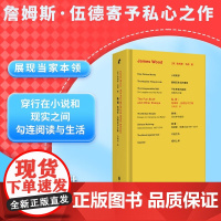 私货 詹姆斯伍德批评文集 文学理论