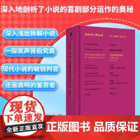 不负责任的自我 论笑与小说 詹姆斯伍德 著 文学理论