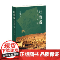 吐鲁番考古手记 王炳华 著 历史