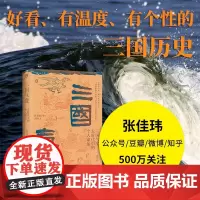 三国气度 大时代中的个人命运 张佳玮 著 历史