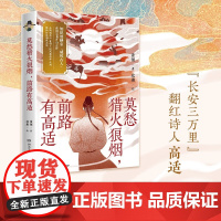 莫愁猎火狼烟 前路有高适 董领 著 散文