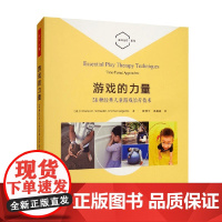 万千心理 游戏的力量 查尔斯·谢弗等 著 心理学