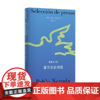 看不见的河流 巴勃罗·聂鲁达 著 诗歌