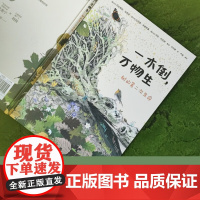 一木倒 万物生 瓦伦蒂纳·戈塔迪 著 森林倒木生态系统 植物界的鲸落现象 科普百科