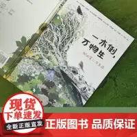 一木倒 万物生 瓦伦蒂纳·戈塔迪 著 森林倒木生态系统 植物界的鲸落现象 科普百科