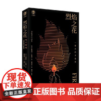 烈焰之花 一部火的文化史 斯蒂芬·J.派恩 著 文化
