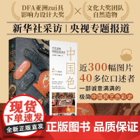 中国色 : 手艺里的中国色彩美学 自然造物等 著 艺术理论与评论