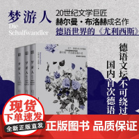 梦游人 赫尔曼·布洛赫 著 小说