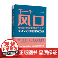 下一个风口 中国银发经济黄金三十年 周超 著 经济