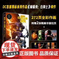 蝙蝠侠 白骑士的诅咒 尚恩·墨菲 著 动漫