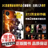 蝙蝠侠 白骑士的诅咒 尚恩·墨菲 著 动漫