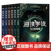 神秘岛 文学海岸线系列 7-14岁 约翰·弗拉纳根 著 儿童文学