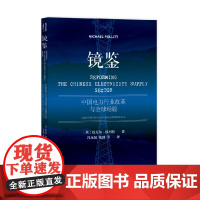 镜鉴 迈克尔·波利特 著 经济
