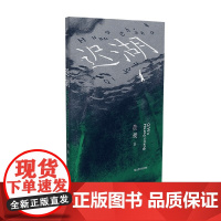 迟湖 艺文志 小说 黄昶 著 小说