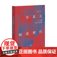 在北大阅读现代 十三堂文学讨论课 吴晓东 著 文化理论