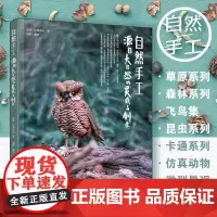 自然手工 源自大自然的灵感与创意 安详等 著 娱乐休闲