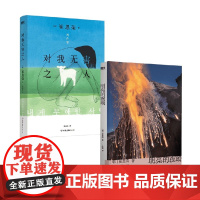 明亮的夜晚+对我无害之人 崔恩荣 著 小说