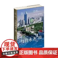 乌鲁木齐传 杜雪巍 著 历史