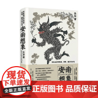 安南想象 朱琺 著 小说