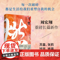 当燃 周宏翔 著 中国文学