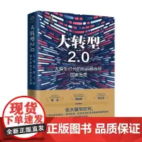 大转型2.0 大模型时代的知识秩序与国家治理 高奇琦著 大模型时代的自由民主与人机契约 政治