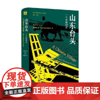 山东台头 杨懋春 著 社会科学