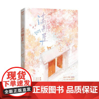 满糖屋 桑玠 著 小说