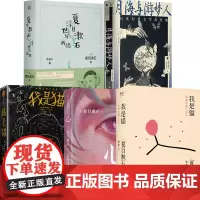 夏目漱石作品合集 心 我是猫 月海与梦游人 浮世与病榻