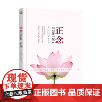 正念 此刻是一枝花 乔·卡巴金 著 心理学