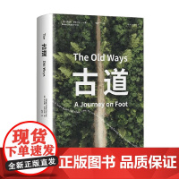 古道 罗伯特.麦克法伦 著 散步也是探险 解读藏在大地上的歌谣 符号和秘密 行走文学三部曲 纪实文学