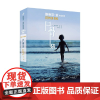 尸骨袋 斯蒂芬·金 著 小说