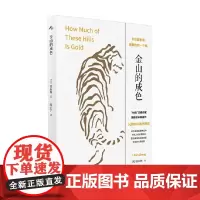 金山的成色 张辰极 著 小说
