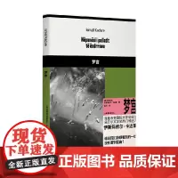 梦宫 伊斯玛依尔·卡达莱 著 小说