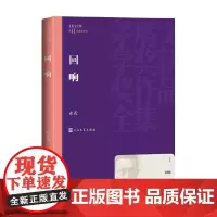 回响 东西 著 小说