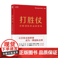 打胜仗 常胜团队的成功密码 田涛等 著 管理