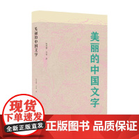 美丽的中国文字 陈慧娜等 著 儿童文学