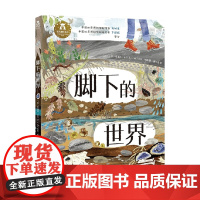 脚下的世界 点读版 6-10岁 夏洛特·吉兰 著 绘本