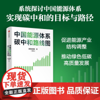 中国能源体系碳中和路线图 促进能源产业结构调整 推动绿色低碳高质量发展 国际能源署 著 经济