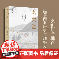 萧关道 胡成著 罗新作序 单向街书店文学奖 年度旅行写作获奖者 在陕甘驿路 探寻细致入微的时代与个体