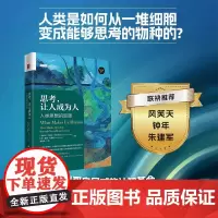 思考让人成为人 人类思想的起源 杰里米·卡彭代尔等 著 思维科学