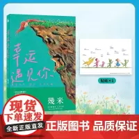 幸运遇见你 幾米著 幸运之书漫画 月亮忘记了 向左走向右走 超级没用的大人
