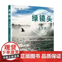 绿镜头 北美洲 汪永晨 著 旅游