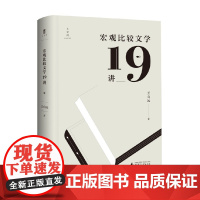 宏观比较文学19讲 王向远 著 文学研究