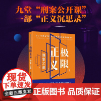 极限正义 刑案之道 高艳东 著 法律