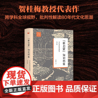 新启蒙 知识档案 贺桂梅 著 中国文学