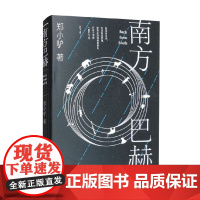 南方巴赫 郑小驴 著 小说