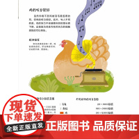 鸡的学问 芭芭拉·山德里 著 科普百科