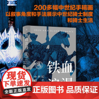 铁血浪漫中世纪骑士 倪世光 著 历史